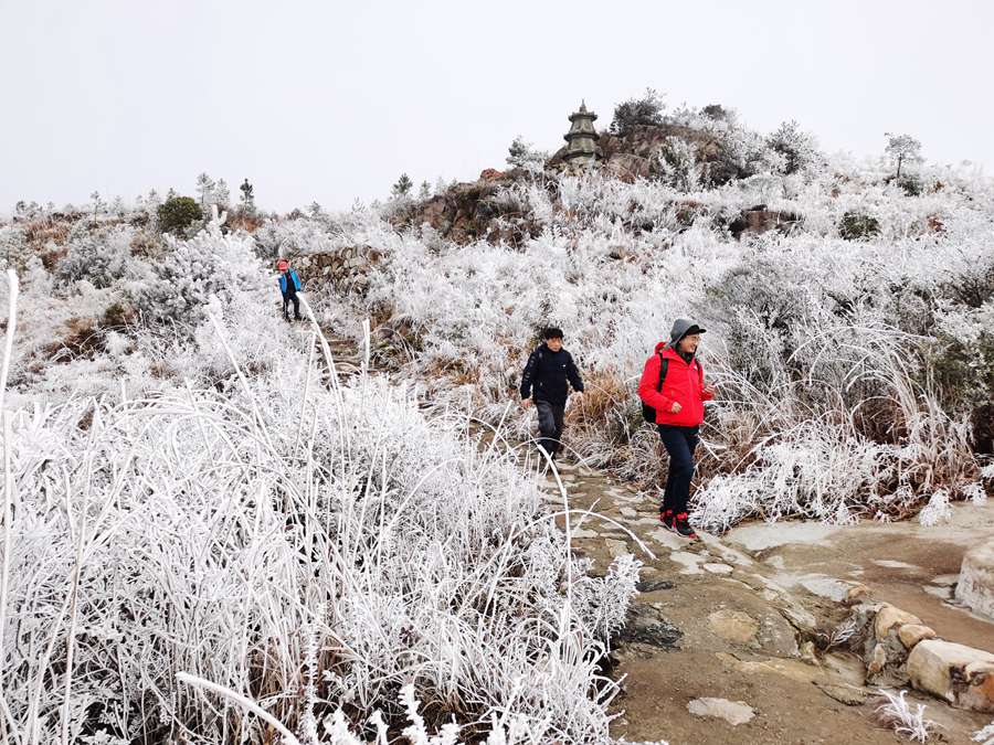 寧德福安白云山出現(xiàn)霧凇冰掛景觀。何家進(jìn)攝