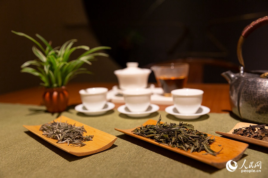 優(yōu)越的生態(tài)環(huán)境和精湛制茶技藝，造就了政和茶葉獨(dú)特的品質(zhì)。人民網(wǎng) 焦艷攝