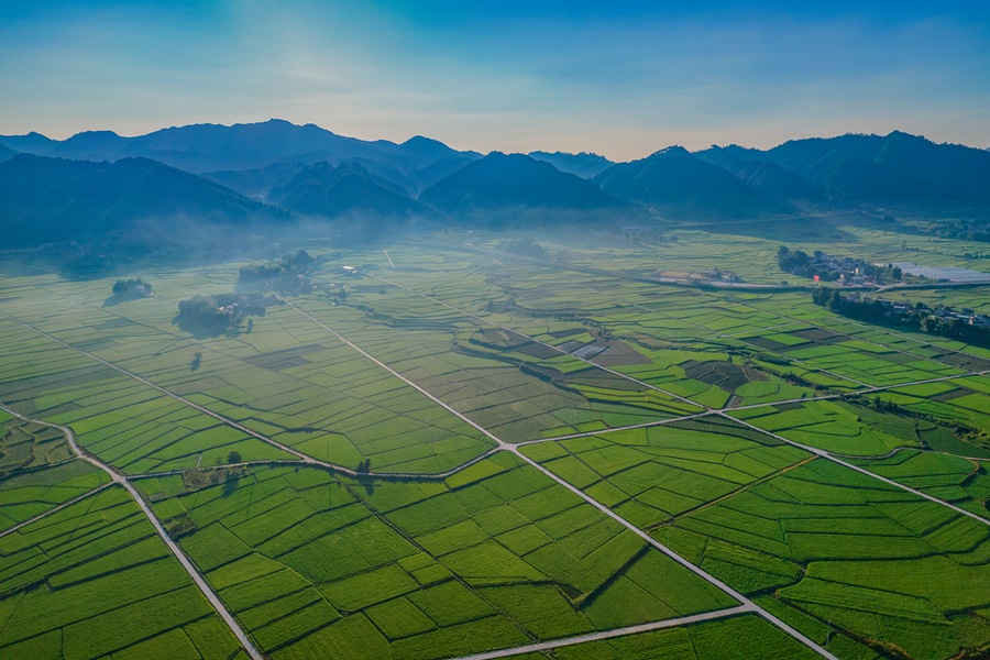 寧化縣泉上鎮(zhèn)”水清岸綠河暢景美“的生態(tài)畫(huà)卷。黃尉峰攝