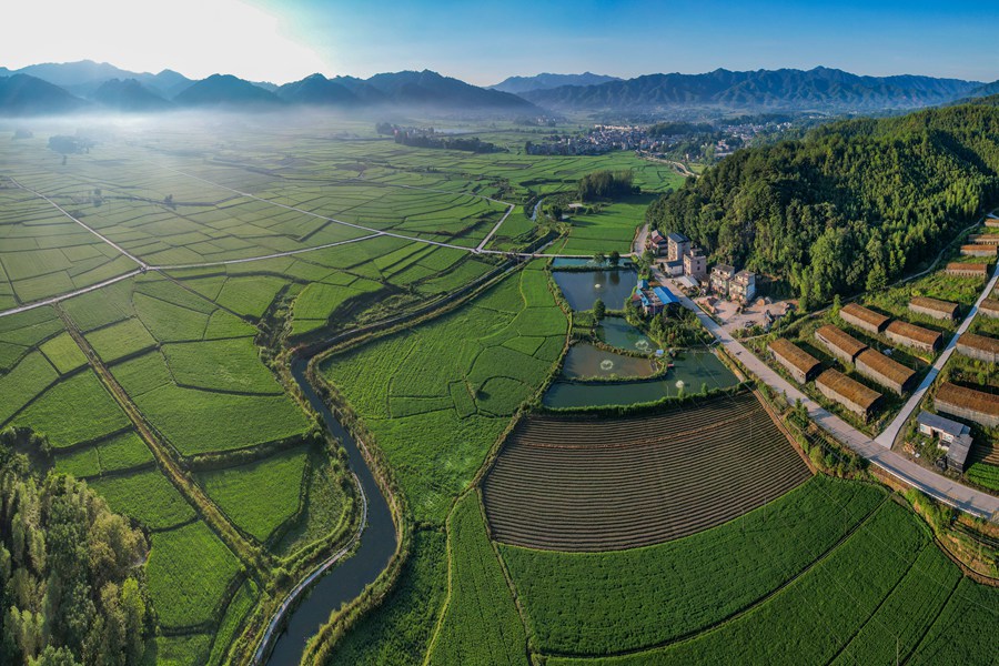 寧化縣泉上鎮(zhèn)生態(tài)宜居美麗鄉(xiāng)鎮(zhèn)之景。黃尉峰攝