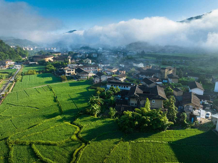 8月12日清晨，在南靖縣，云霧纏繞下，土樓與一旁的農(nóng)田構(gòu)成一幅絕美的綠色生態(tài)畫卷。馮木波攝