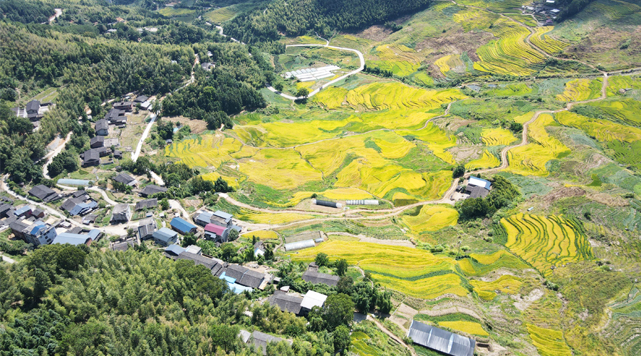 位于三明尤溪縣的聯(lián)合梯田是全球重要農(nóng)業(yè)文化遺產(chǎn)，層層疊疊的萬畝梯田，稻浪飄香。吳振湖、黃功興攝