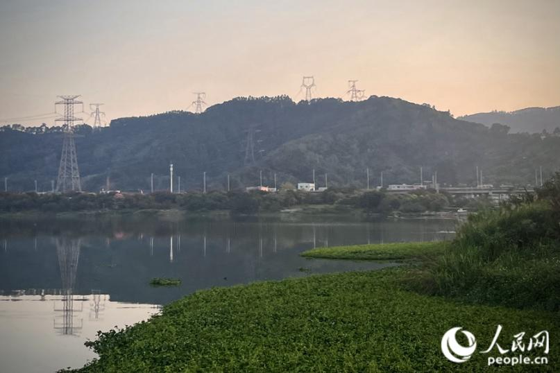 九龍江西溪北岸城市生態(tài)廊道風(fēng)景。人民網(wǎng) 錢嘉禾攝