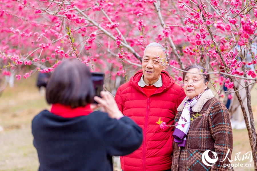 3、一對(duì)老夫妻在桃花樹(shù)下合影。康磊攝