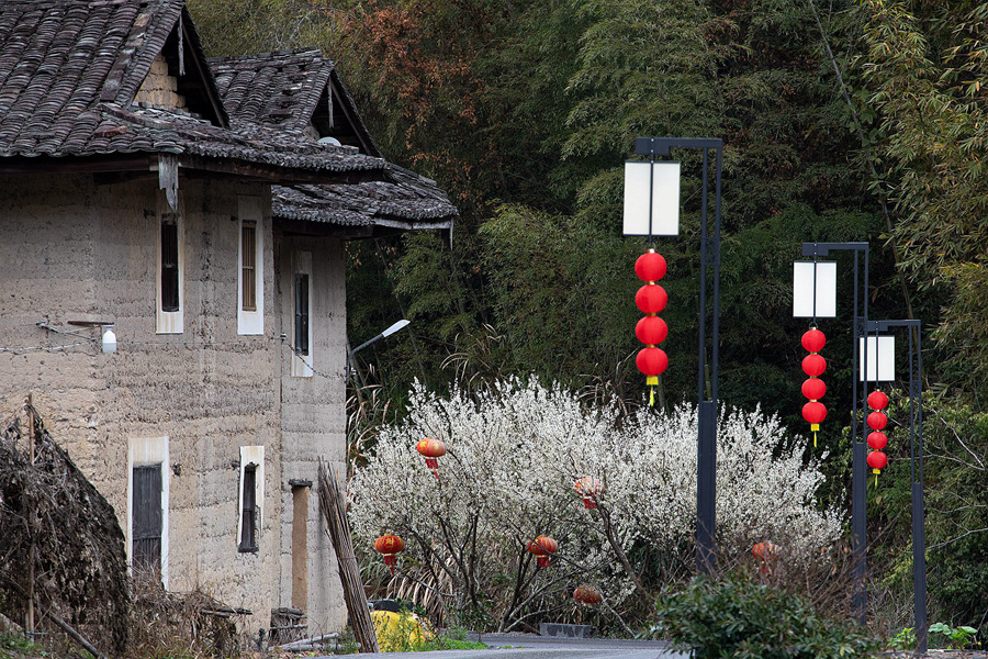 4.春意滿(mǎn)樓花枝俏。馮木波攝