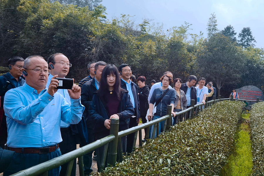 學員在燕子窠生態(tài)茶園調(diào)研?？萍疾哭r(nóng)村科技司供圖