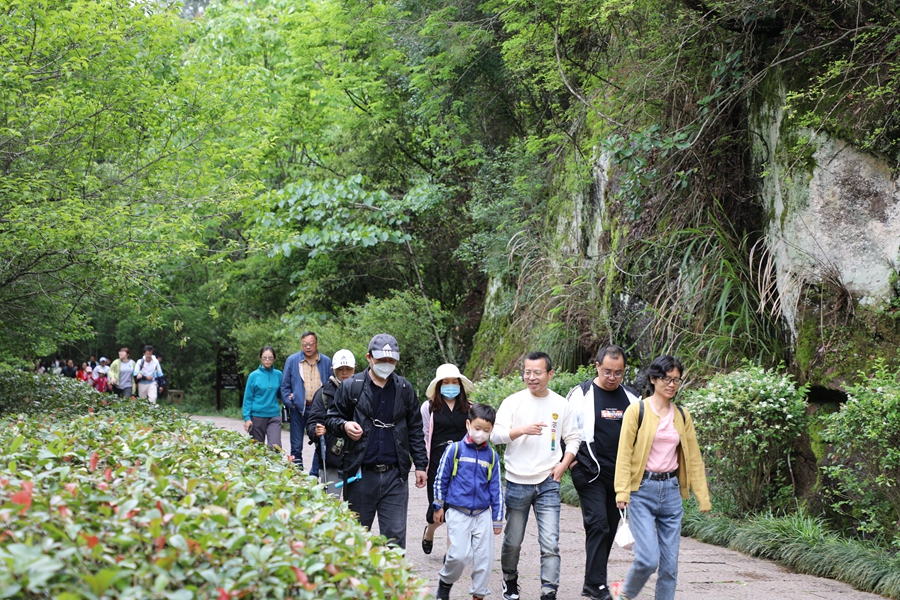 游客在景區(qū)游覽。吳明淞攝