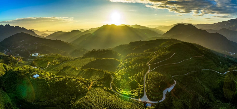 風(fēng)景秀麗的安溪縣茶山。謝旭東攝