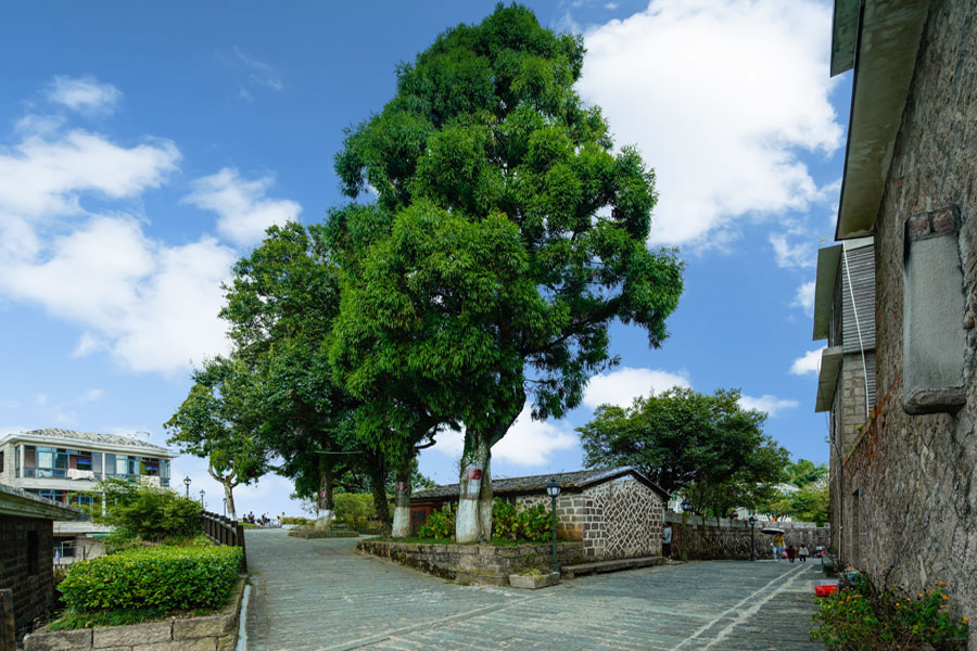 鼓嶺街景。福州市鼓嶺旅游度假區(qū)管理委員會(huì)供圖