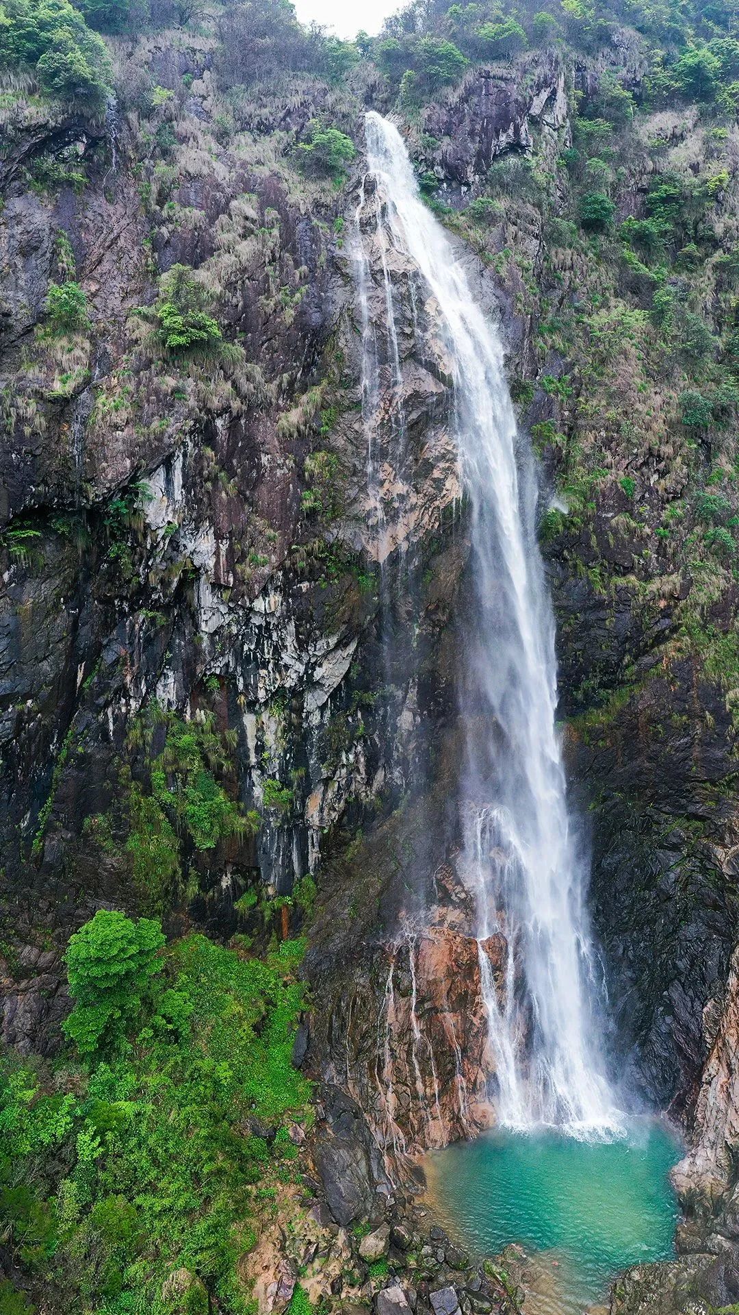 李福根攝