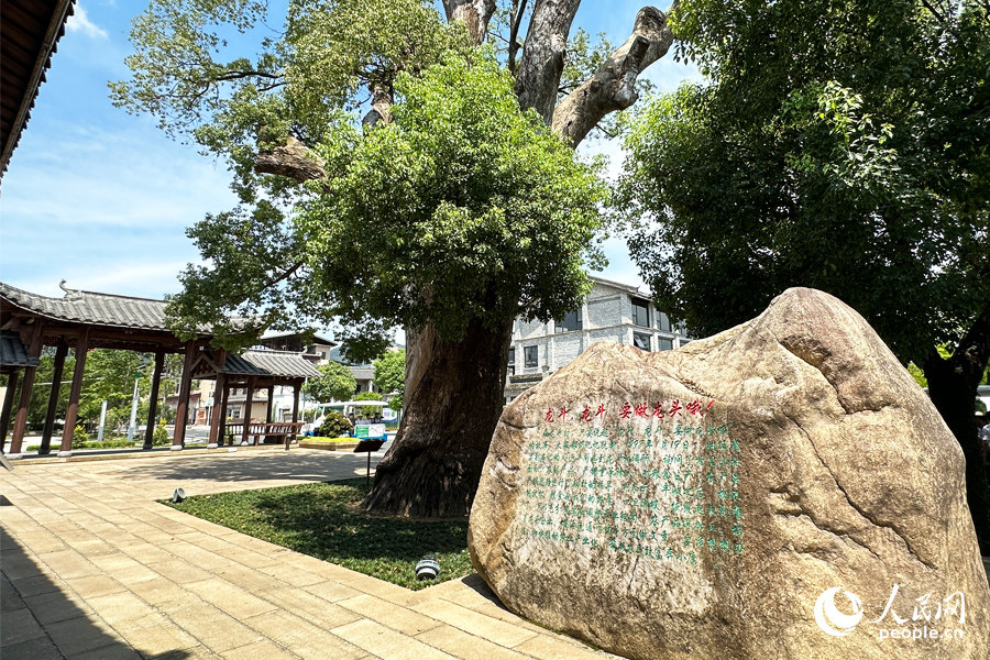 邵武市水北鎮(zhèn)龍斗村。人民網(wǎng)記者 劉卿攝