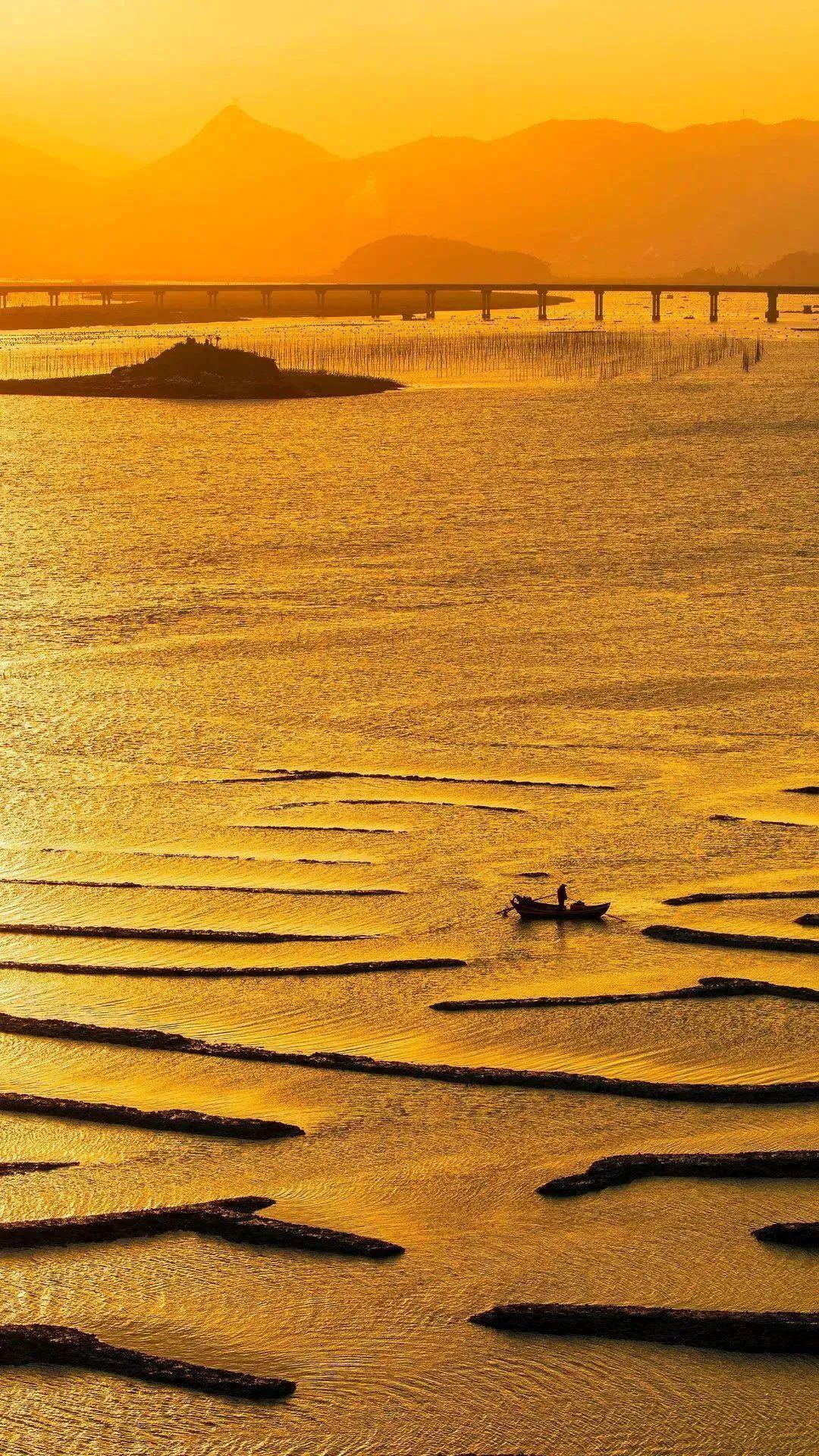 霞浦縣灘涂。陳慈蕊攝