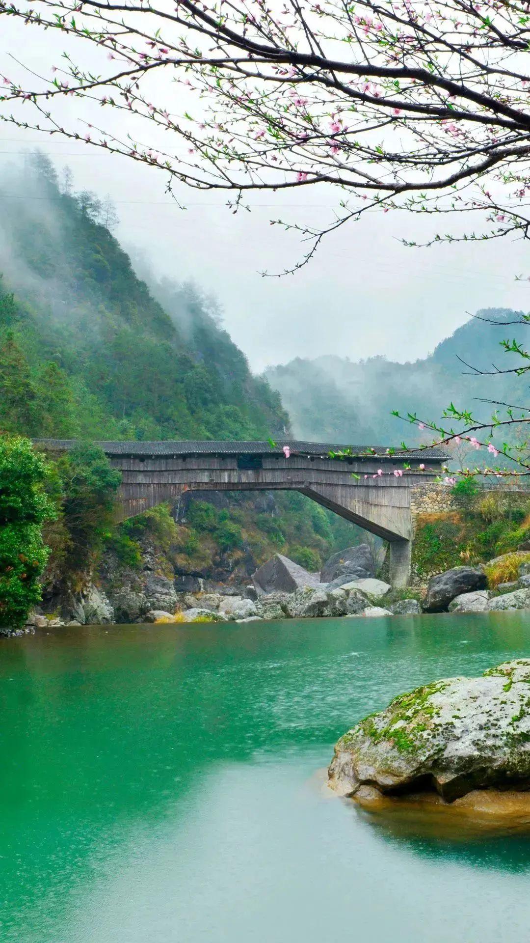 壽寧縣下黨鄉(xiāng)鸞峰橋。龔健攝