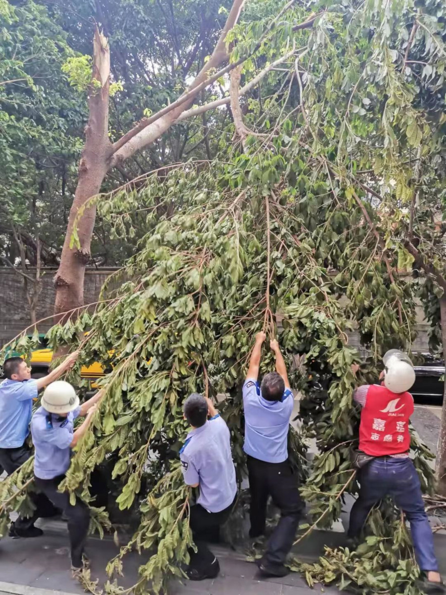 派出所民警和社區(qū)網(wǎng)格員及時(shí)清理掉落枯枝，確保道路暢通。嘉蓮街道供圖