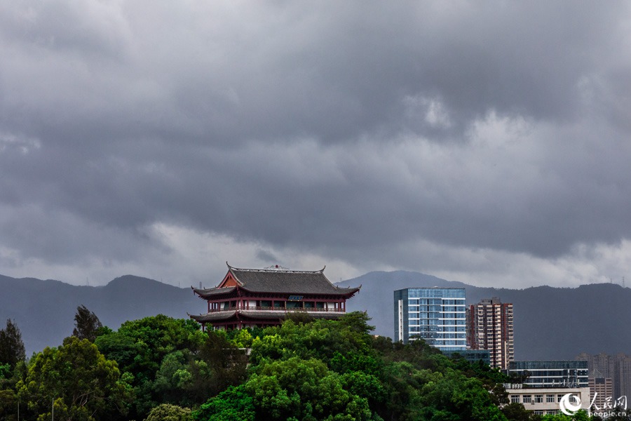 7月27日早晨，福州。人民網(wǎng) 焦艷攝