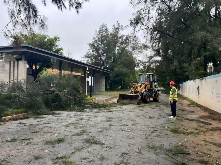 清除道路樹枝。中建海峽供圖