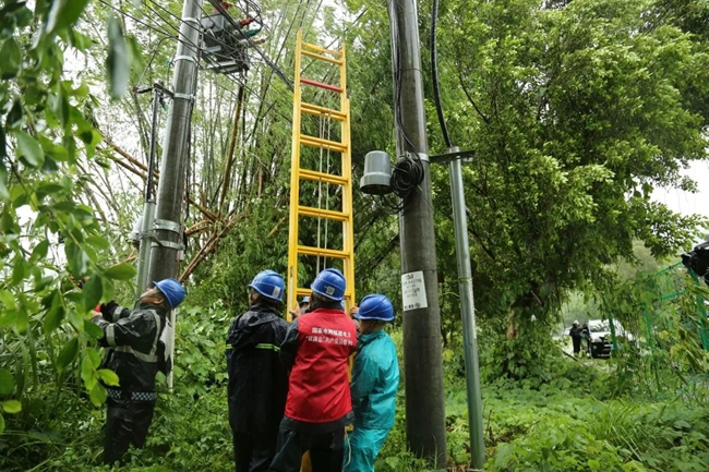 抓緊時間檢修設(shè)備。國網(wǎng)福建電力供圖