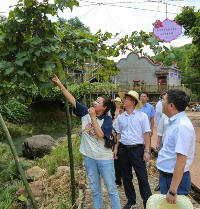 參觀葡萄溝。龍巖市委組織部供圖