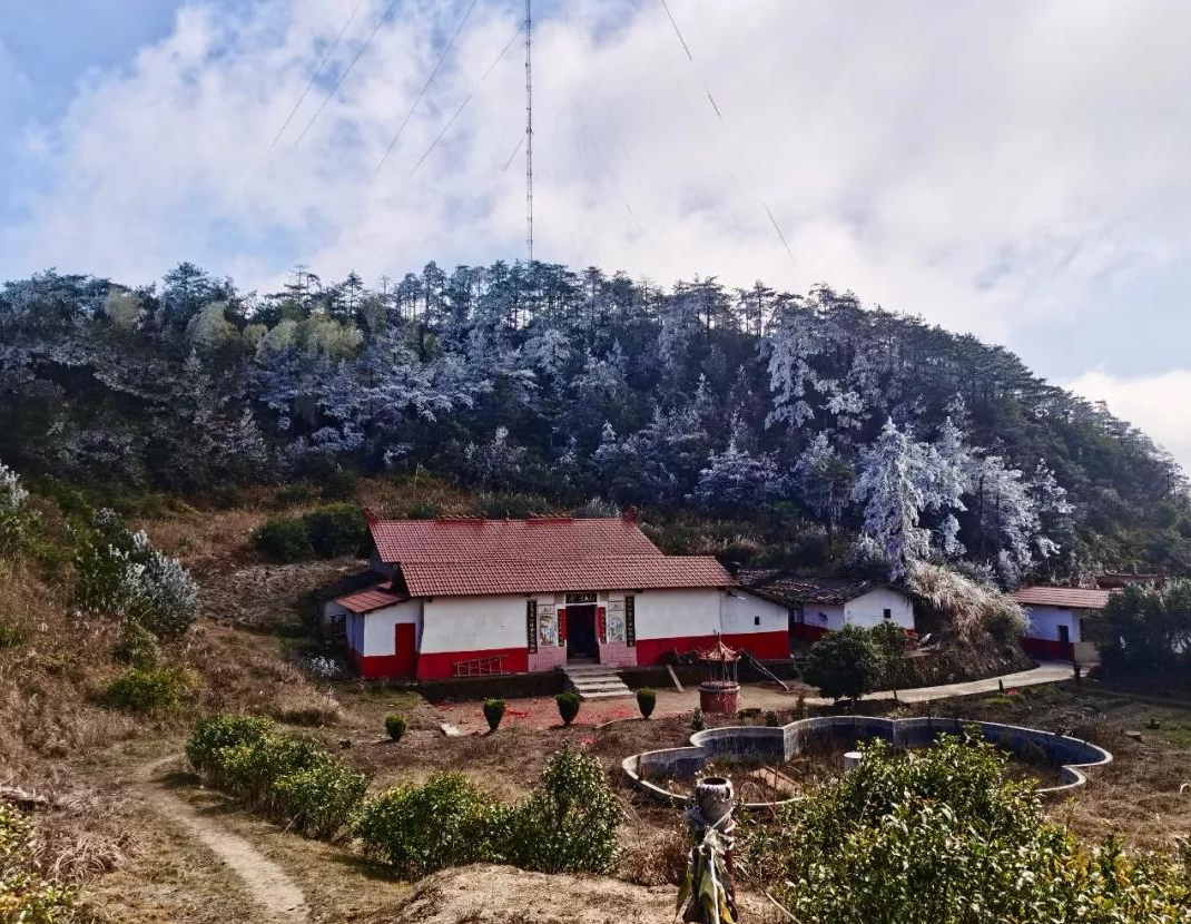 老盈山雪景。連城縣委組織部供圖