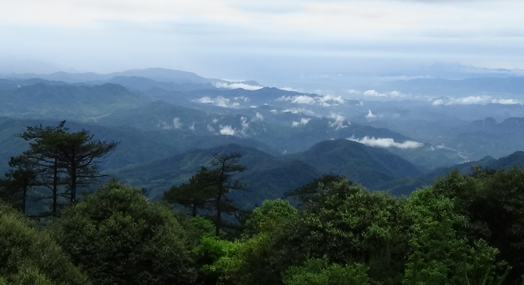 美麗的老盈山。連城縣委組織部供圖