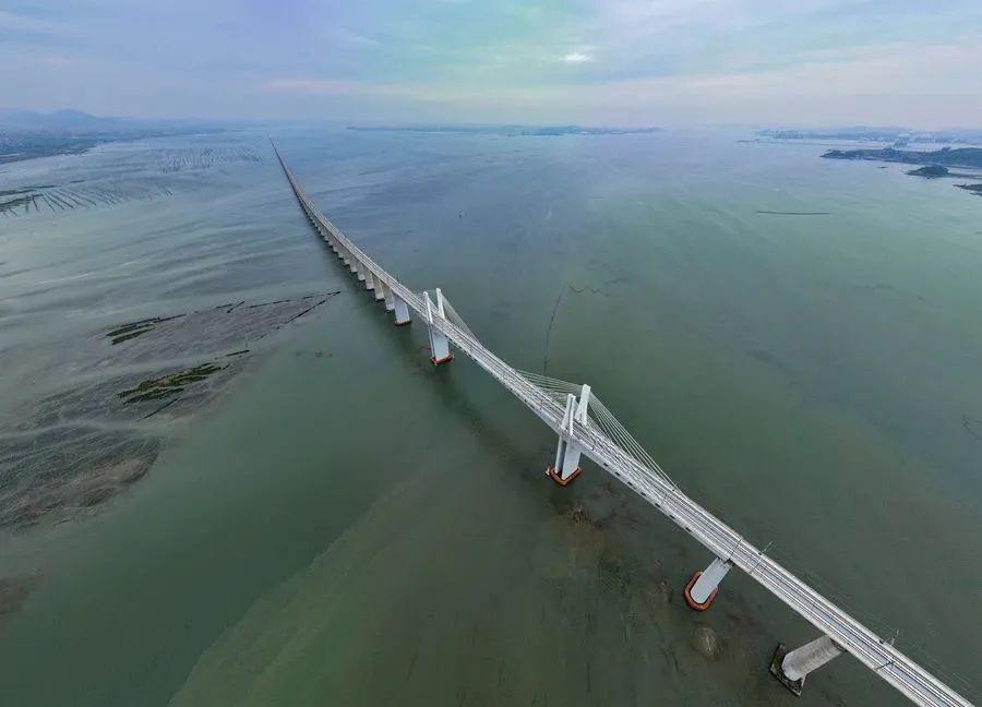 福廈高鐵湄洲灣跨海大橋一景。張海根攝