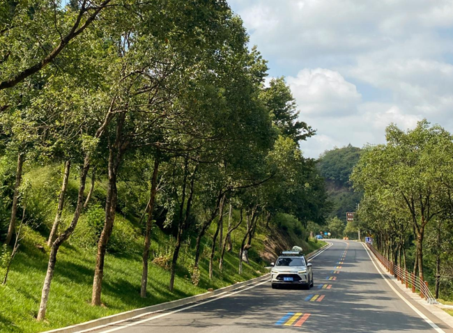 武夷山國家公園1號風(fēng)景道。李茜攝