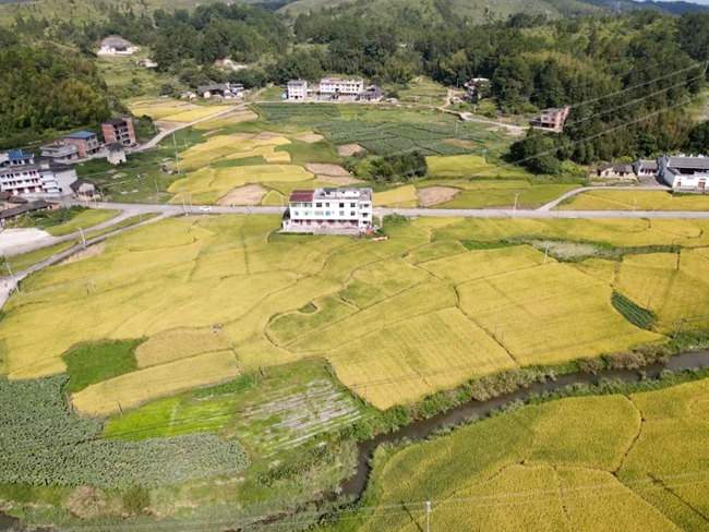 。永泰縣融媒體中心供圖