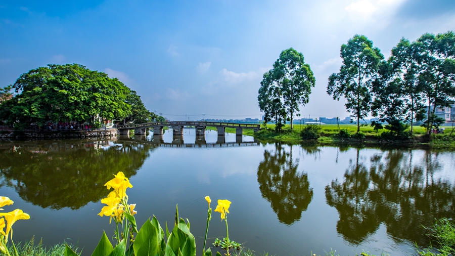 黃石惠下村。林征宇攝