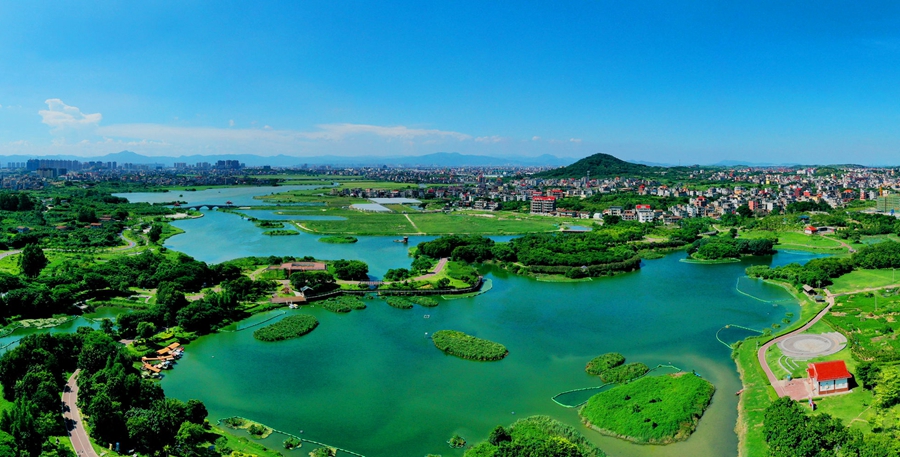 土海濕地公園景區(qū)。林華攝