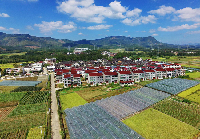 農村宅基地規(guī)范管理效果。魏永青攝