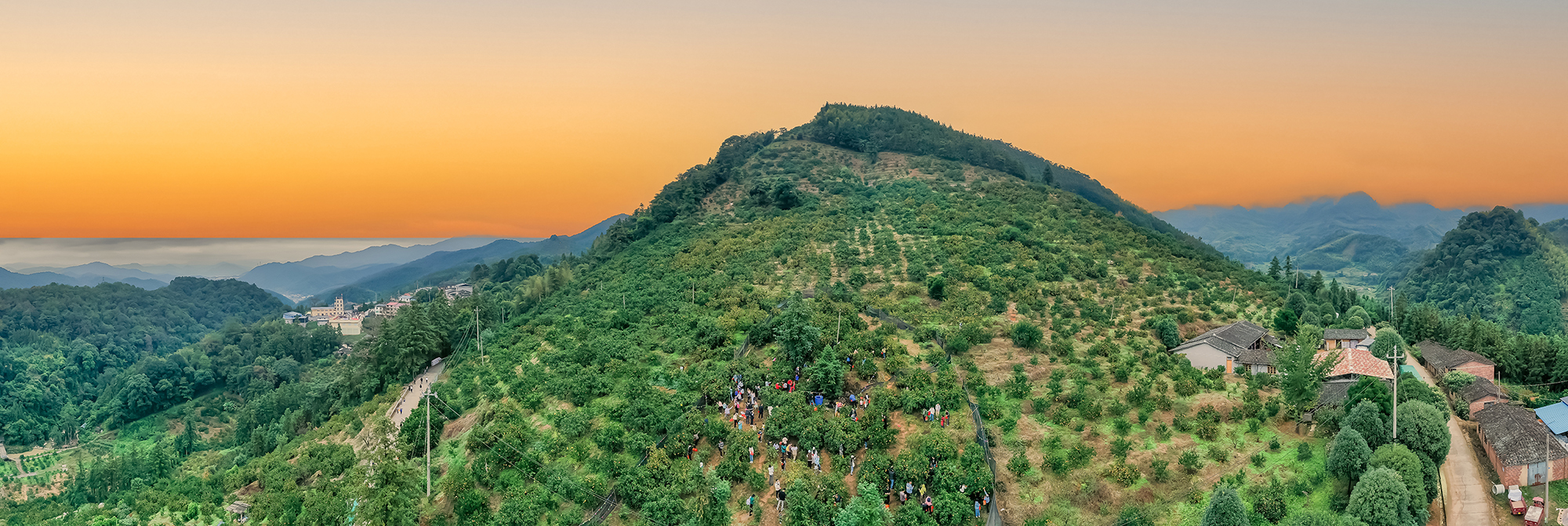 西際村美景。謝月妮攝