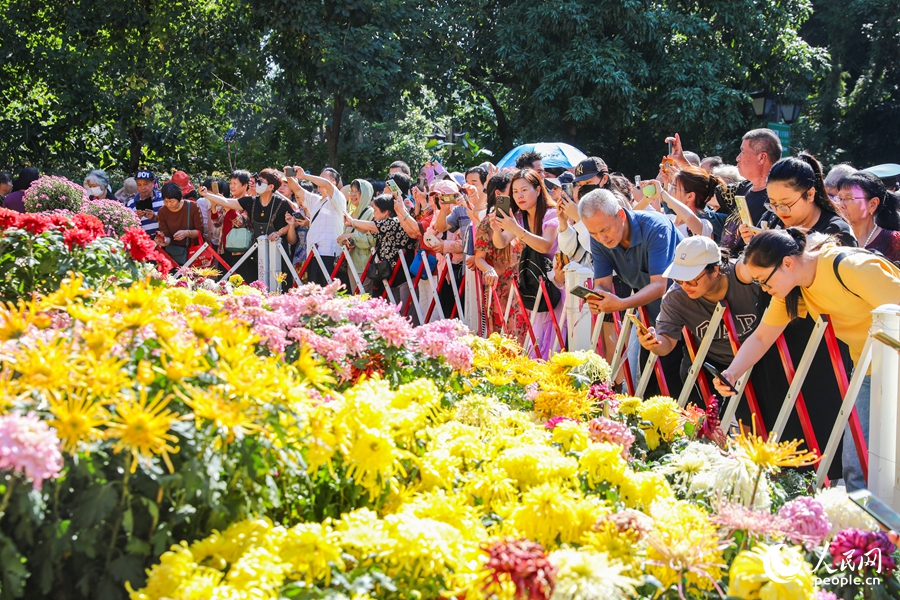 福州西湖金秋菊花展吸引市民及游客踏秋賞菊。人民網(wǎng)記者 焦艷攝