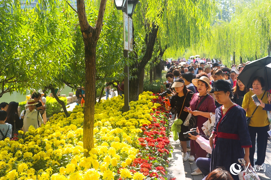 福州西湖金秋菊花展吸引市民及游客踏秋賞菊。人民網(wǎng)記者 林曉麗 攝