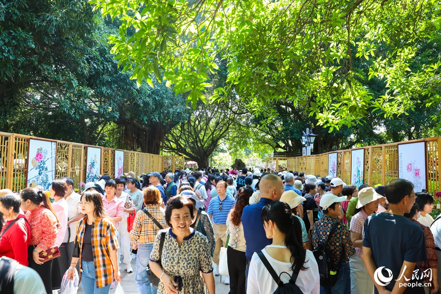 福州西湖金秋菊花展吸引市民及游客踏秋賞菊。人民網(wǎng)記者 焦艷攝