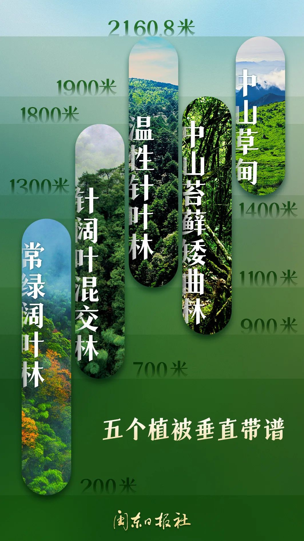 武夷山保存著世界同緯度帶最完整、最典型、面積最大的中亞熱帶原生性森林生態(tài)系統(tǒng)。