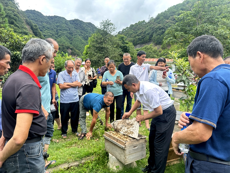 武平縣梁野仙蜜養(yǎng)蜂專業(yè)合作社黨支部書記、理事長鐘亮生（右二）為當?shù)貧埣踩?、貧困戶講解養(yǎng)蜂技巧（資料圖）。受訪者供圖