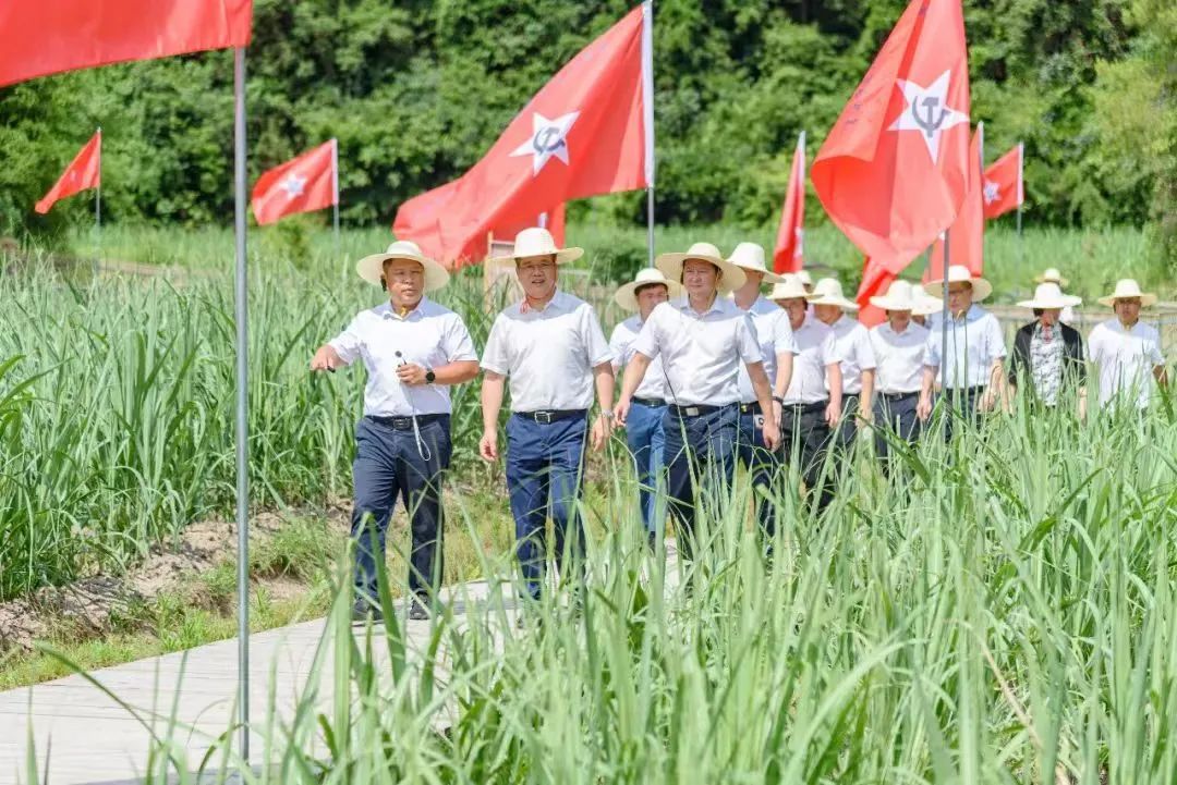 推動村集體和村民“雙增收”。