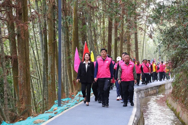 市民在步道上結隊健步走。