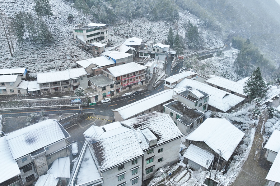 南平建陽區(qū)黃坑鎮(zhèn)坳頭村大雪紛飛。吳大灼 攝