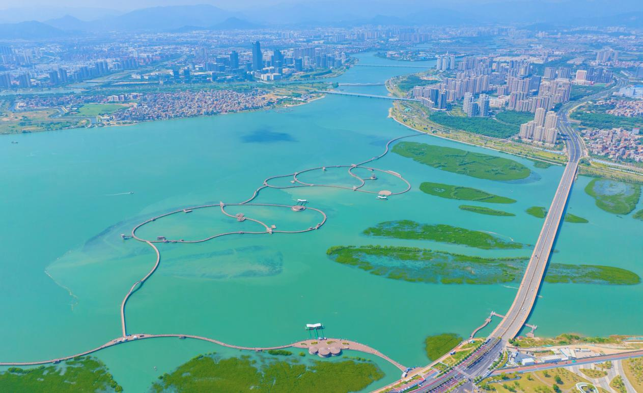 廈門下潭尾紅樹林公園。人民網(wǎng)記者 陳博攝