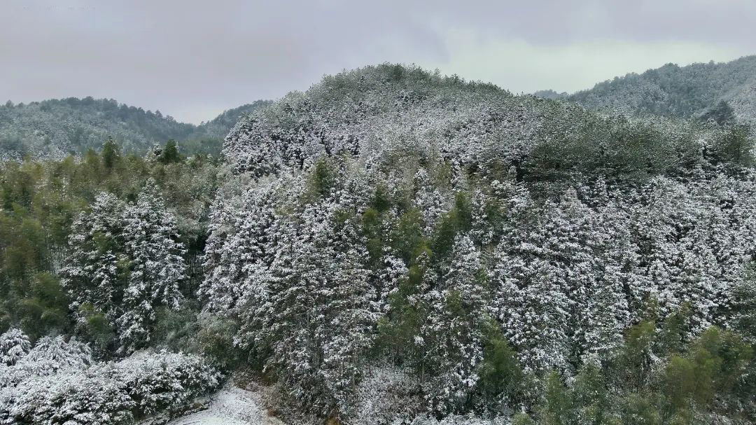 三明市寧化縣治平鄉(xiāng)湖背角村。王熤華攝