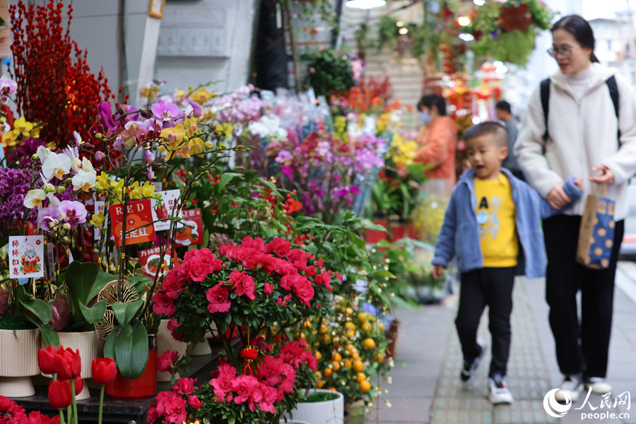 各式各樣的花卉，吸引市民駐足觀賞、選購。人民網(wǎng)記者 陳博攝