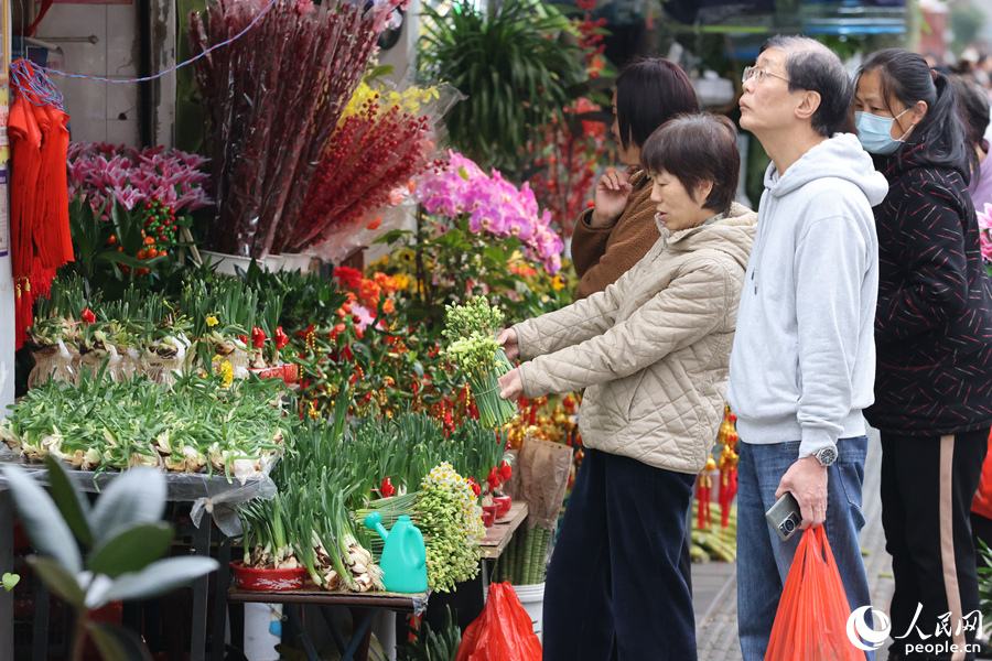 水仙花是閩南家庭過年的必備花種。人民網(wǎng)記者 陳博攝