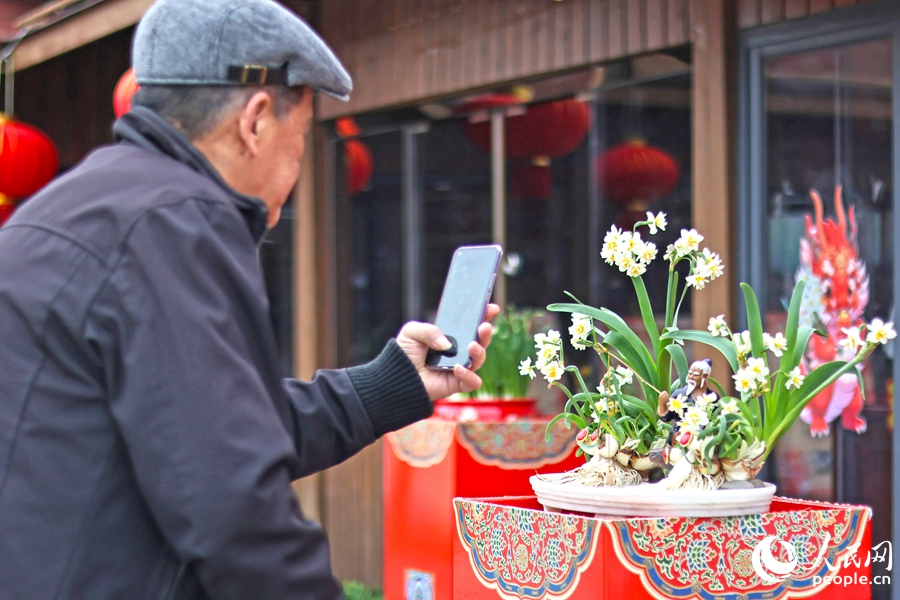 經雕刻后的水仙花造型吸引市民游客拍照。人民網(wǎng) 李昌乾攝