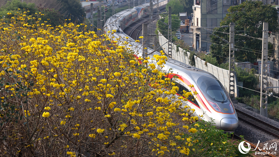 開往春天的列車。人民網(wǎng)記者 陳博攝