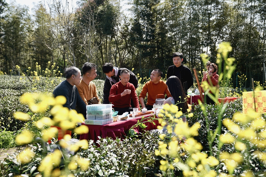 茶園里，人們圍桌而坐品鑒小白茶。吳大灼攝