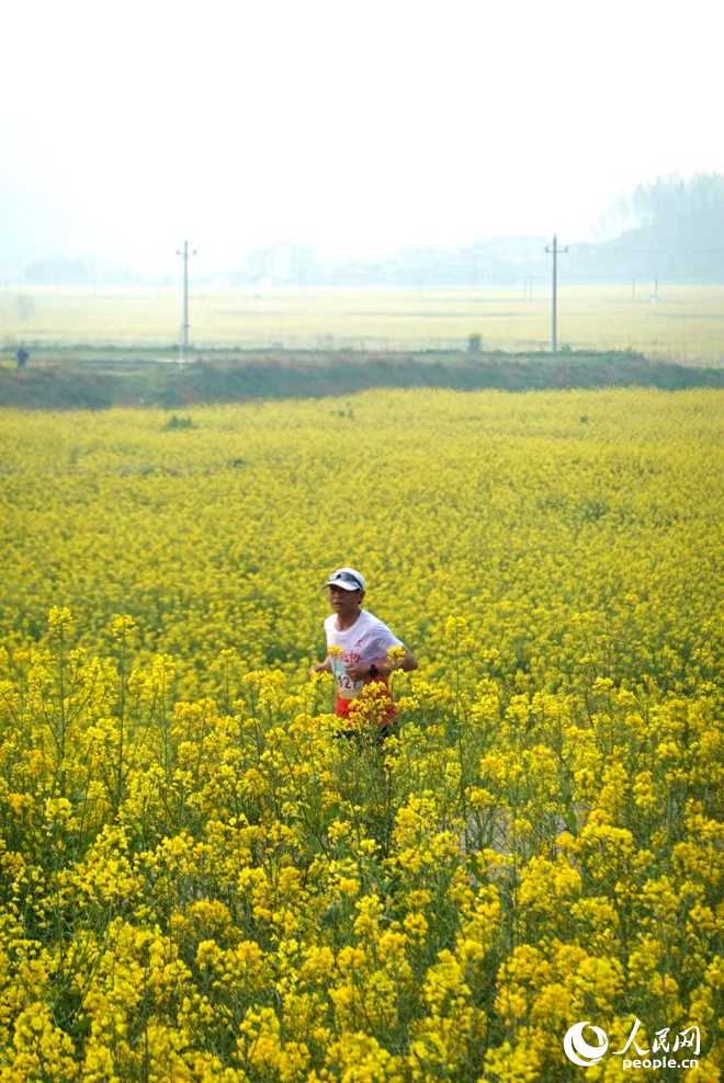 跑步愛(ài)好者花海中開跑。人民網(wǎng) 楊灝昱攝