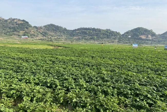 。寧德市委宣傳部供圖