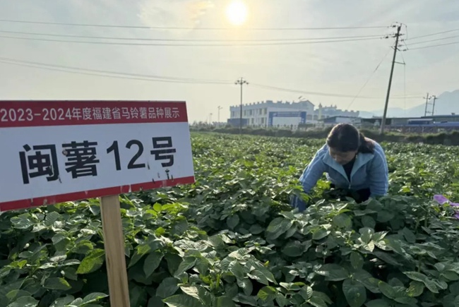 。寧德市委宣傳部供圖