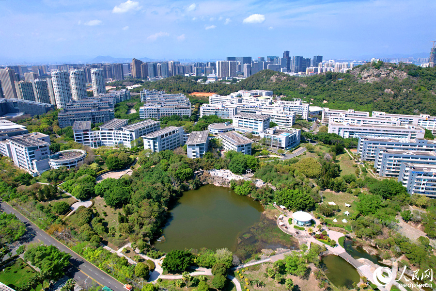 位于廈門市思明區(qū)的軟件園二期草木蔥蘢、綠意盎然，為鳥類提供了舒適的生活環(huán)境。人民網(wǎng)記者 陳博攝